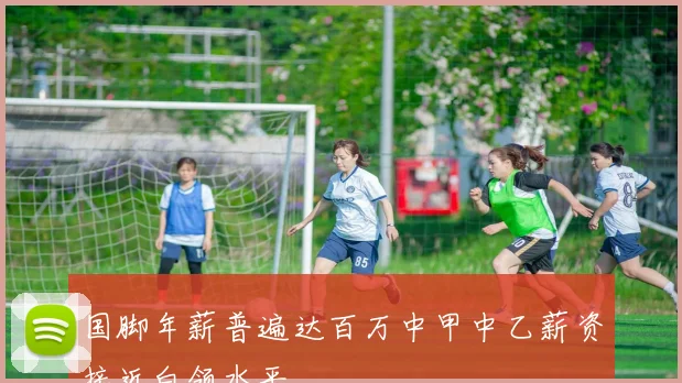 国脚年薪普遍达百万中甲中乙薪资接近白领水平