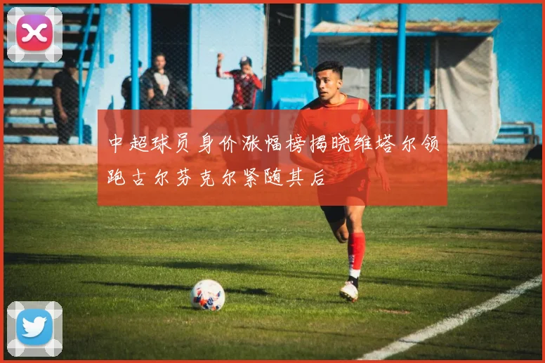 中超球员身价涨幅榜揭晓维塔尔领跑古尔芬克尔紧随其后