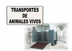 TRANSPORTE ANIMALES VIVOS - GPS - TEMPERATURA